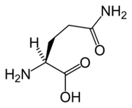 L-Glutamin an Keto Diet